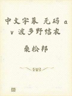 中文字幕 无码 av 波多野结衣